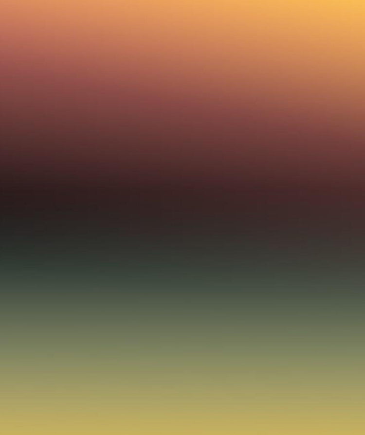 Postcards From The Sun